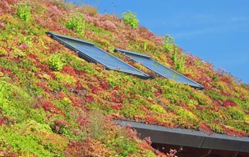Pettistree living roof systems