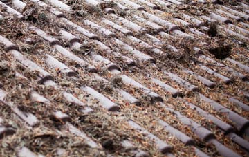 Pettistree roof cleaning companies