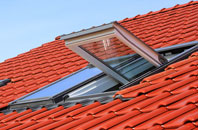 Pettistree roof window