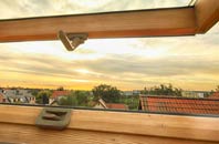 rated Pettistree roof window companies